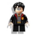 Harry Potter - Gryffindor desabrochado