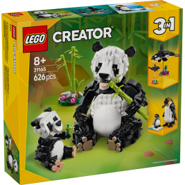 Fauna Salvaje: Familia de Pandas